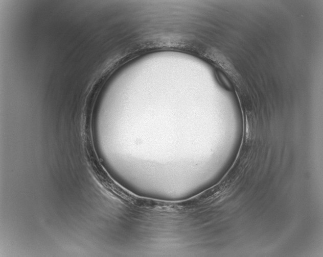 X0000072510627200608111655
