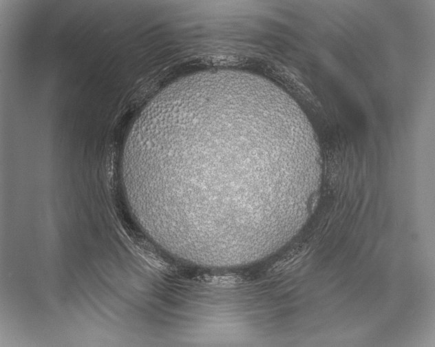 X0000072510645200608111655