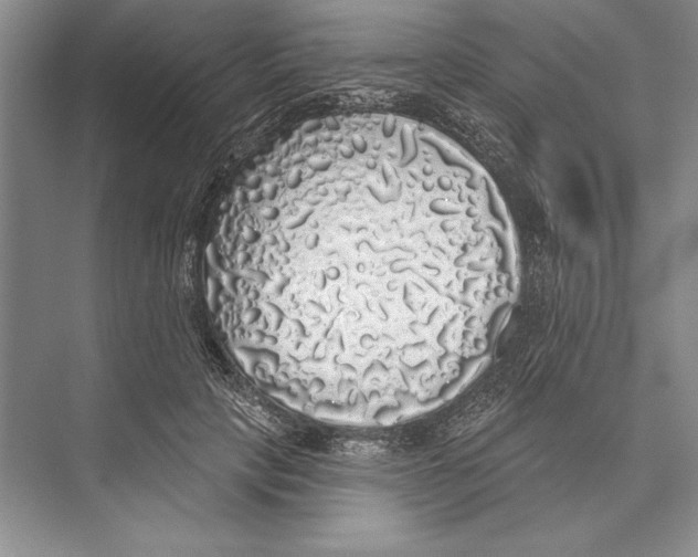X0000072510649200608111655