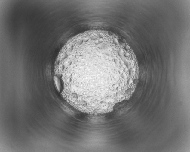 X0000072510670200608111655