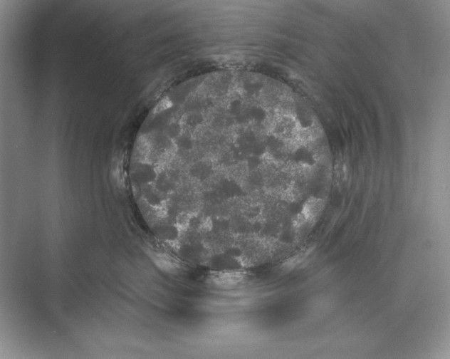 X0000072510671200608111655