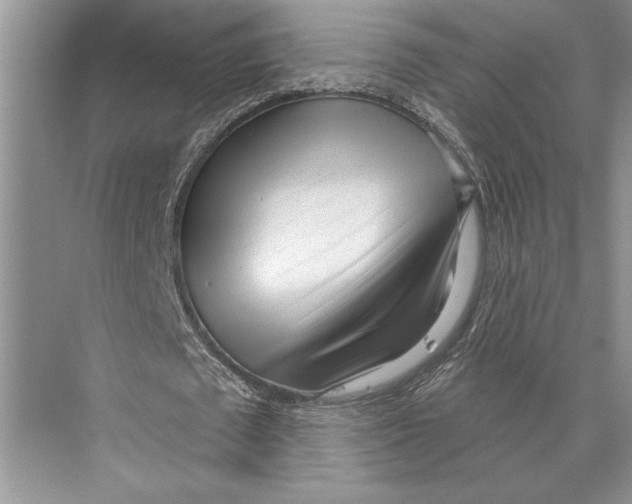 X0000072510673200608111655
