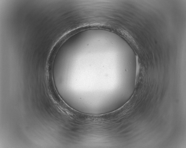 X0000072510676200608111655
