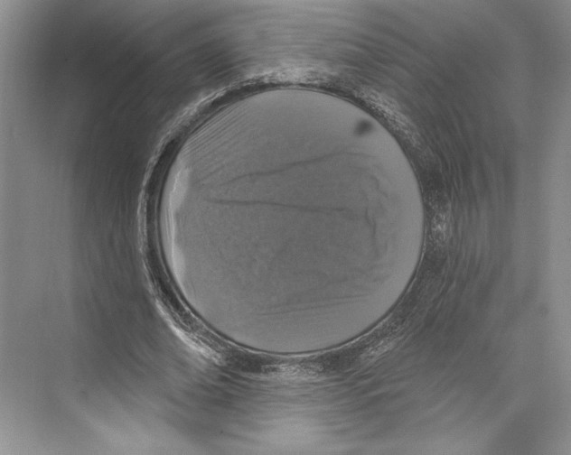X0000072510678200608111655