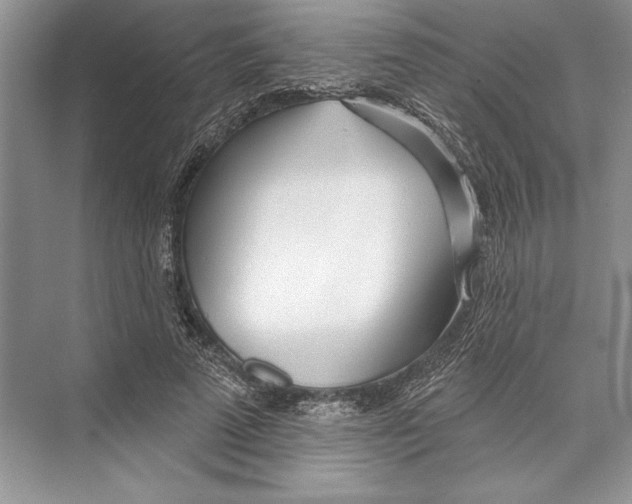 X0000072510689200608111654