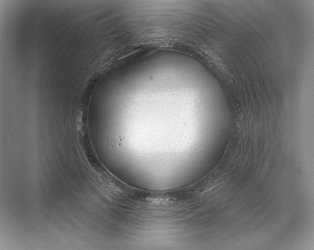 X0000072510693200608111654