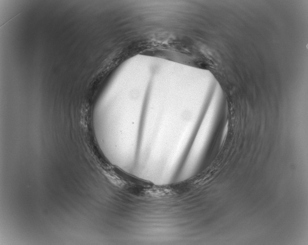 X0000072510712200608111654