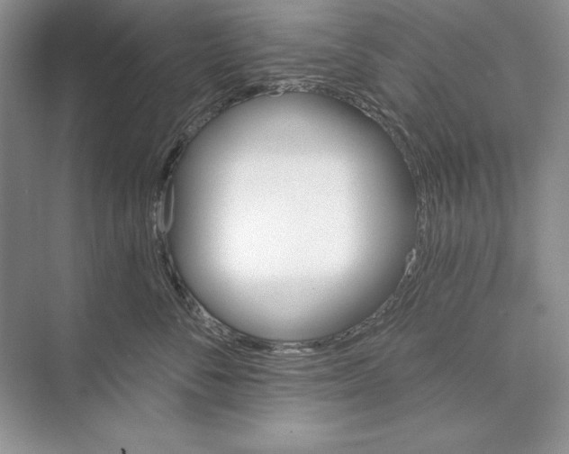 X0000072510716200608111654