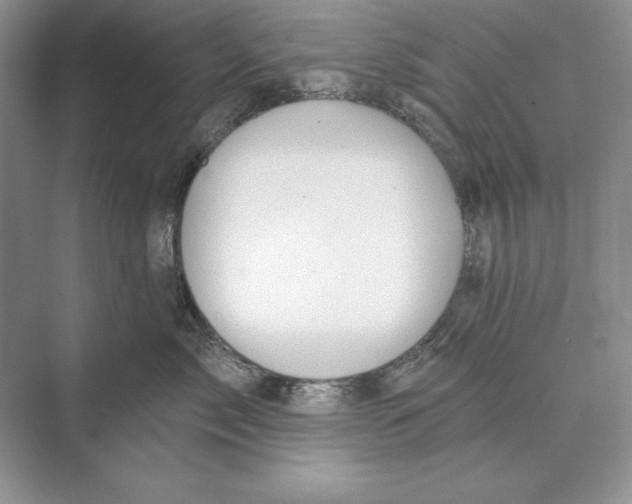 X0000072510717200608111654