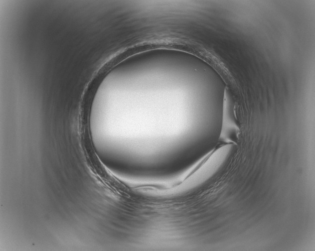 X0000072510724200608111653