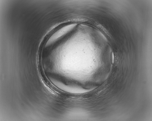 X0000072510726200608111653