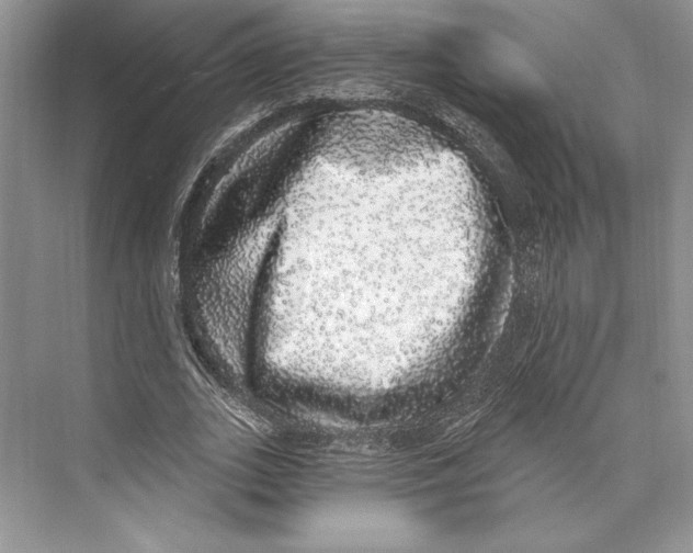 X0000072510727200608111653