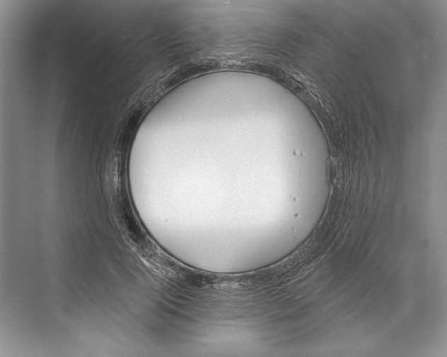 X0000072510740200608111653