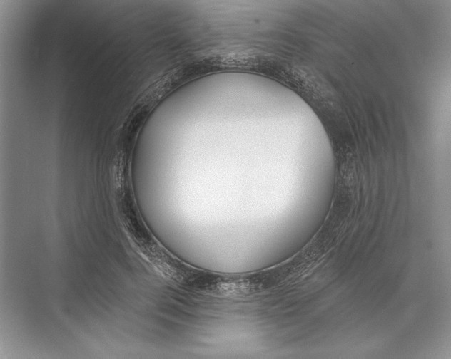 X0000072510744200608111653