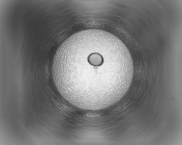 X0000072510749200608111654