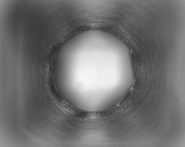 X0000072510750200608111654
