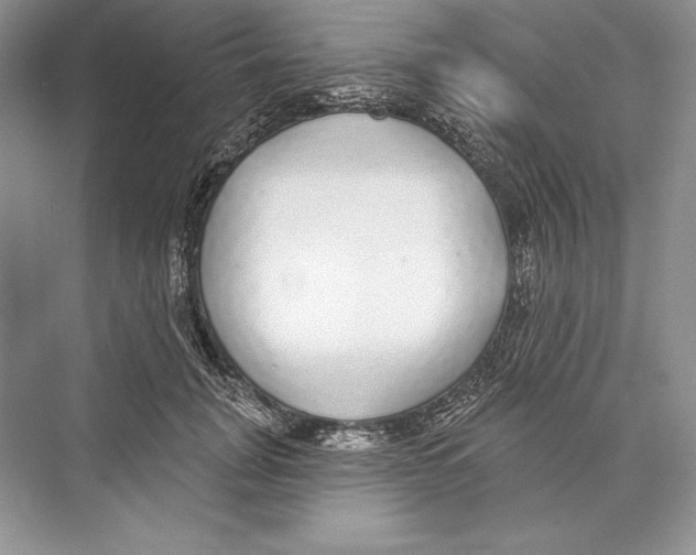 X0000072510751200608111654