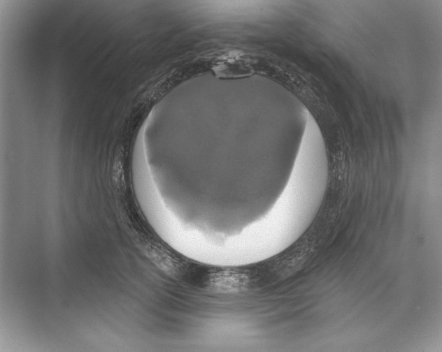 X0000072510754200608111654