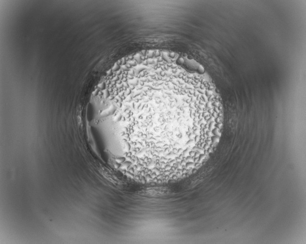 X0000072510758200608111654