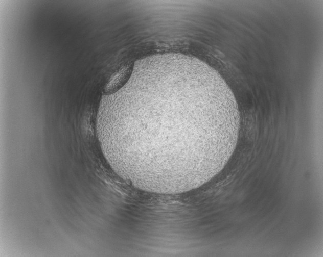 X0000072510770200608111653