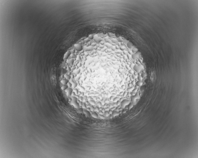 X0000072510771200608111653