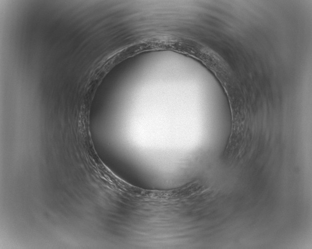 X0000072510773200608111653
