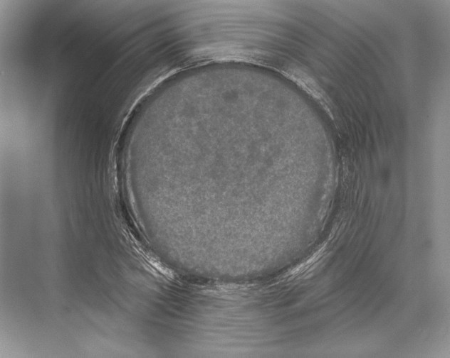 X0000072510782200608111653