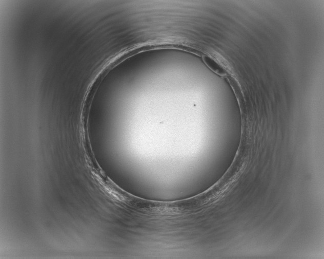 X0000072510789200608111653