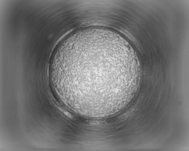 X0000072510790200608111653