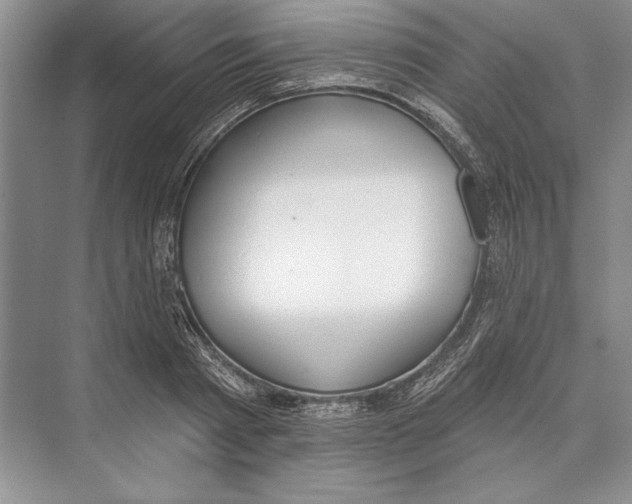 X0000072510793200608111653