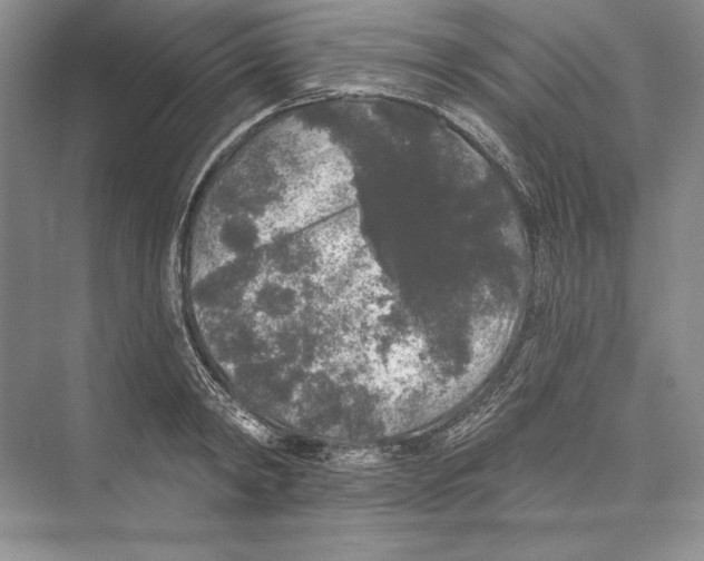X0000072510798200608111653