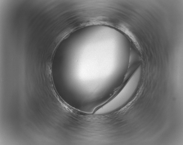 X0000072510809200608111652