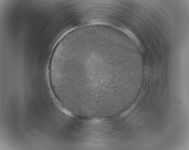 X0000072510814200608111652