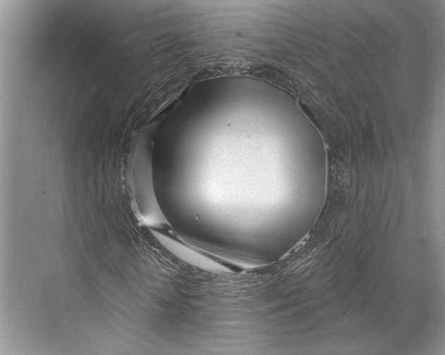 X0000072510818200608111651