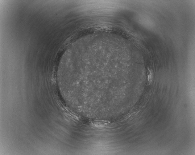 X0000072510819200608111652