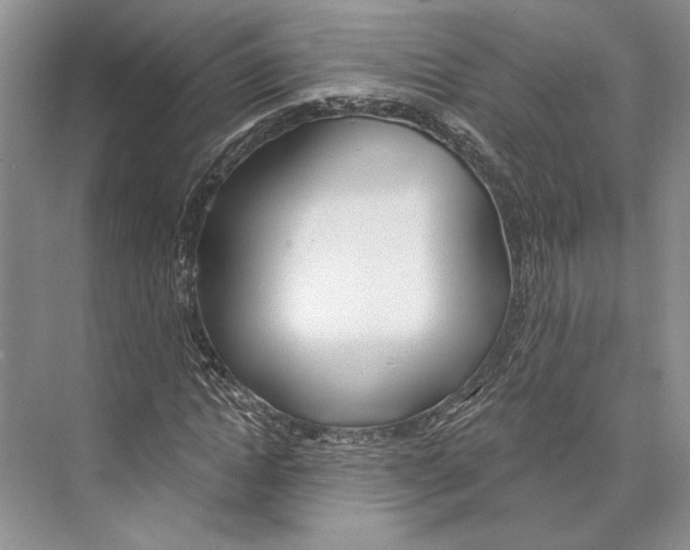 X0000072510822200608111652