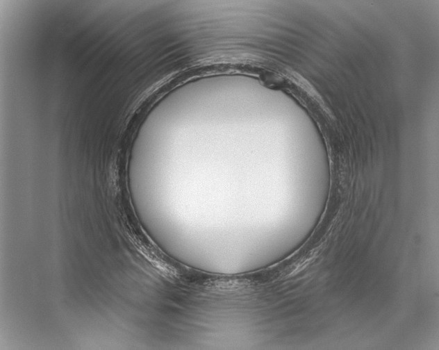 X0000072510826200608111652