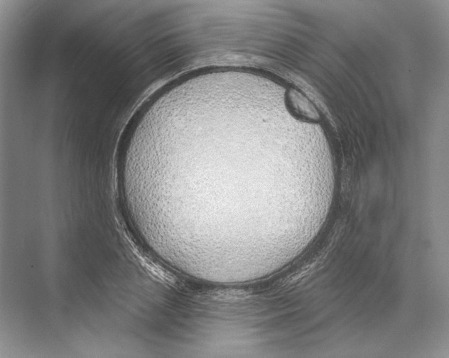 X0000072510837200608111652
