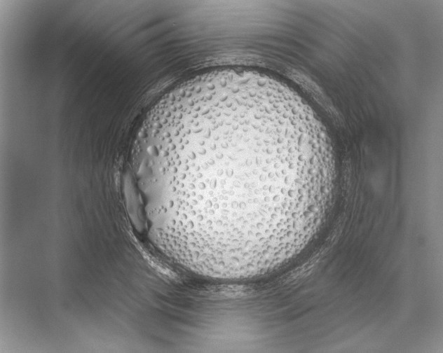X0000072510841200608111652