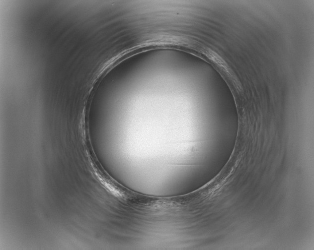 X0000072510842200608111652
