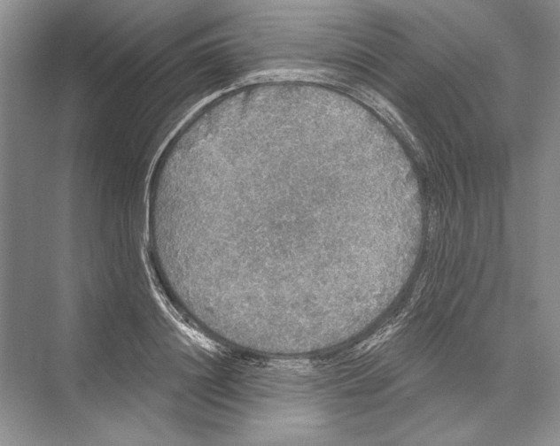 X0000072510844200608111652