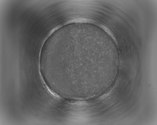 X0000072510845200608111652