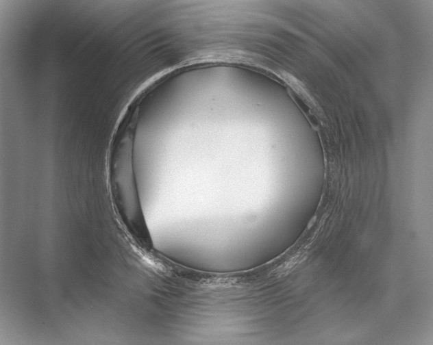 X0000072510846200608111652