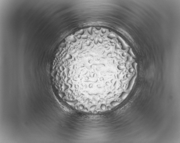 X0000072510849200608111652