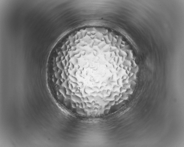 X0000072510853200608111652