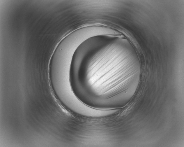 X0000072510858200608111652