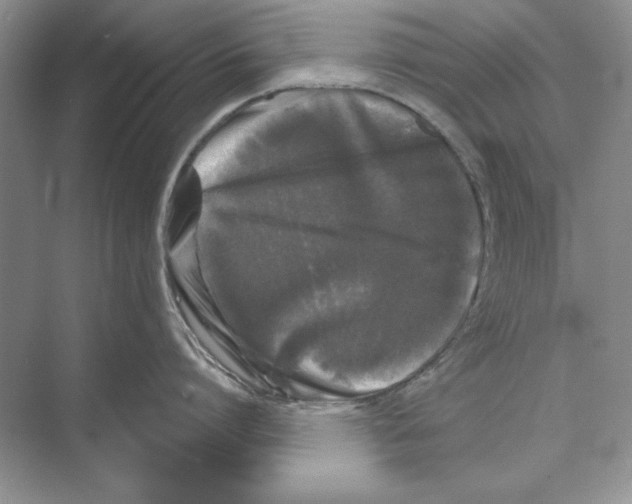 X0000072510864200608111652