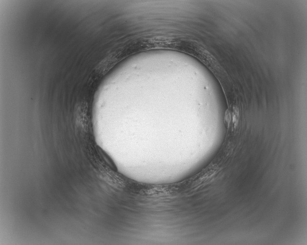 X0000072510867200608111651