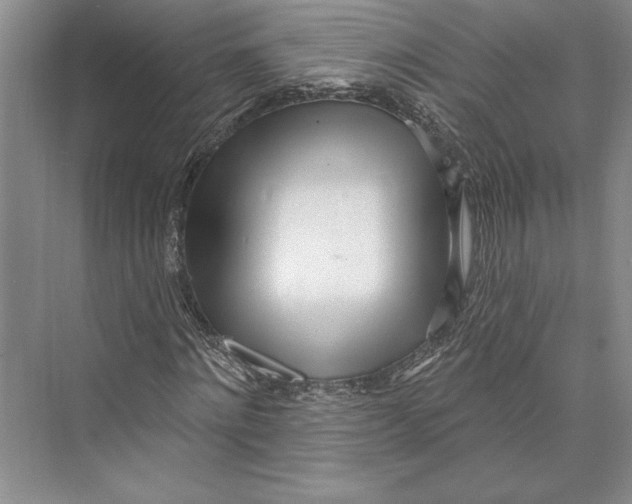 X0000072510868200608111651