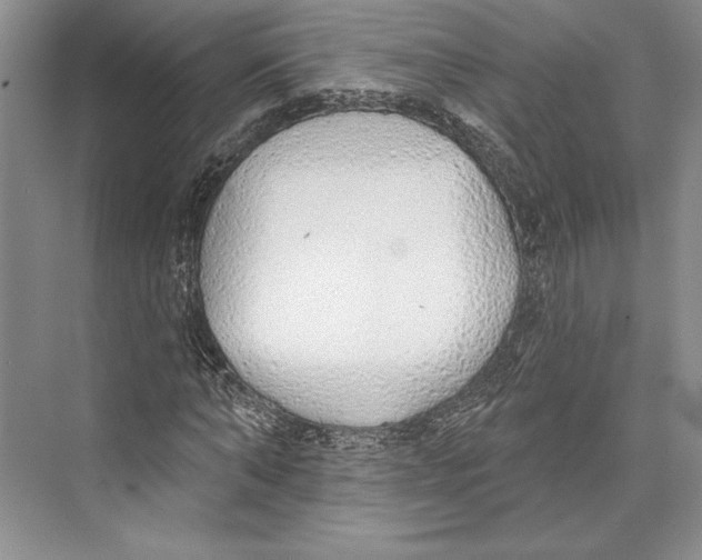 X0000072510870200608111651